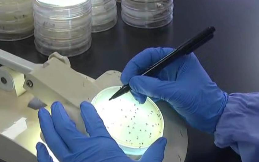 市面上假的美心月饼,你买到过哪些离谱的劣质产品