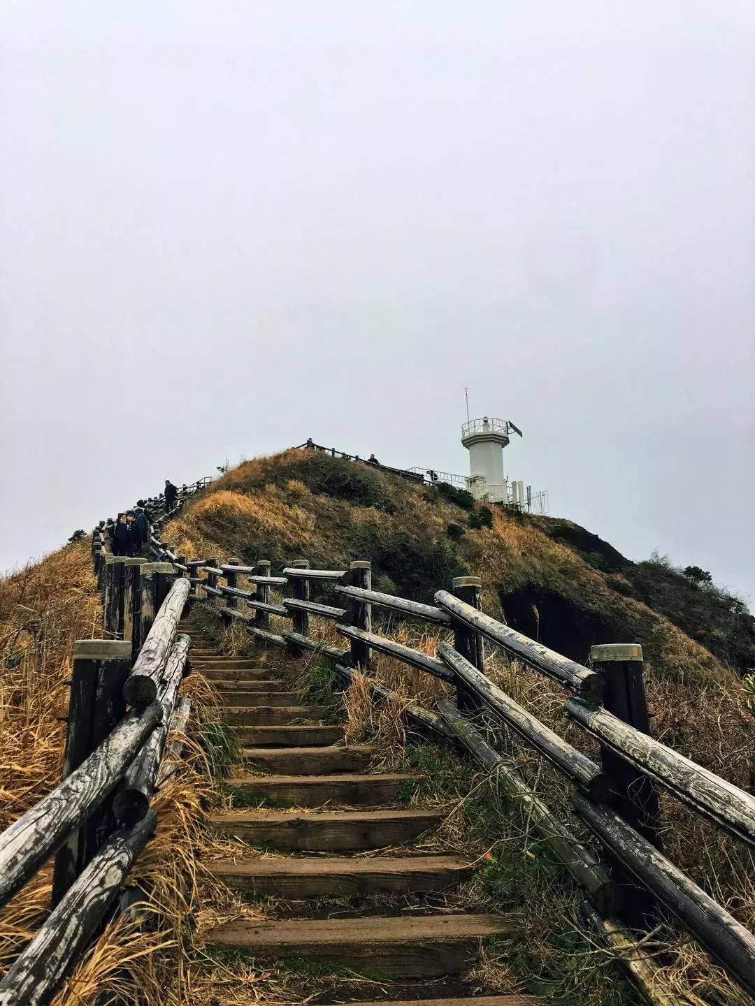 济州岛小清新旅游攻略,济州岛冬日街景