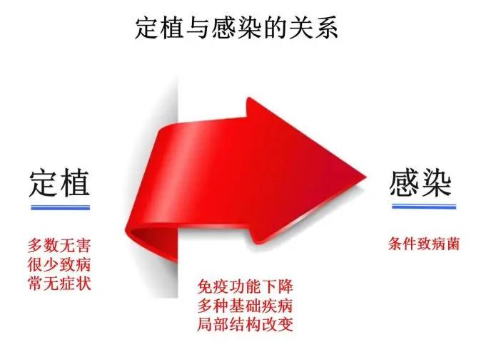 真菌培养及鉴定是阳性严重吗,怎么鉴别肺部真菌感染