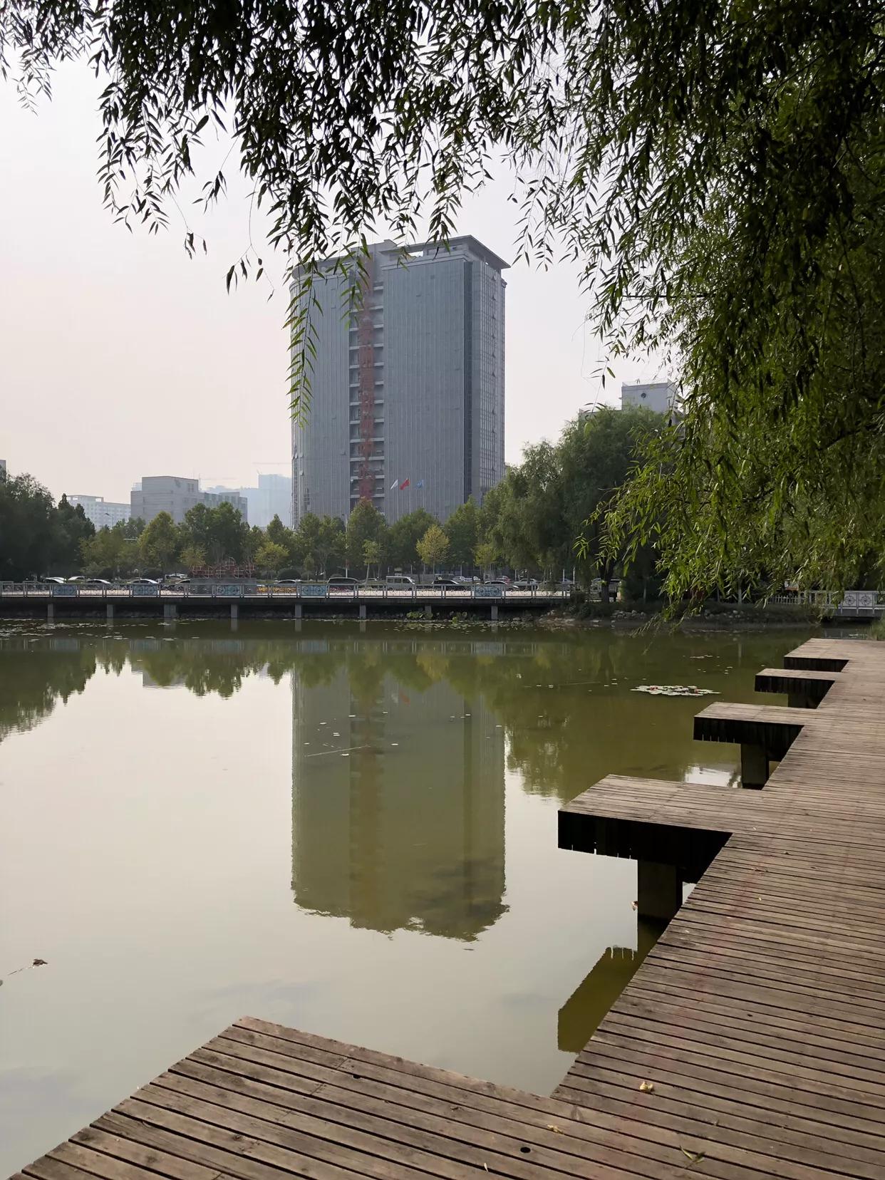 郑州市莲花公园,郑州池南路莲花公园