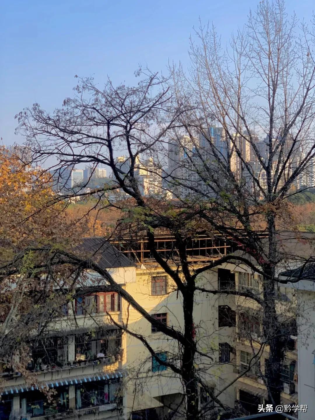 贵阳一小学分校,贵阳小学排名含分校