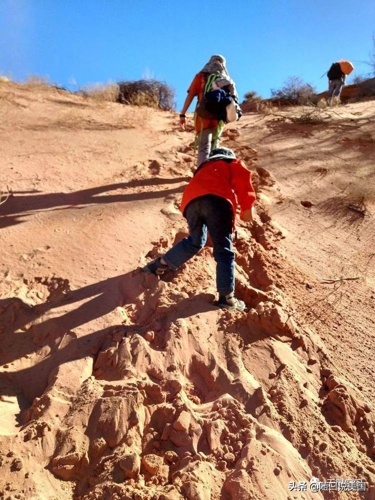 荒野乱斗流彩伊芙强度,荒野行动榴弹怎么用