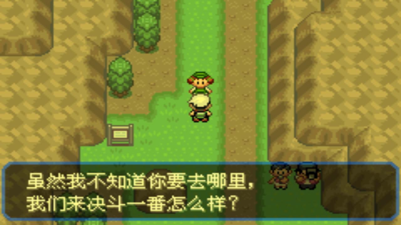 口袋妖怪究极绿宝石4完整版攻略,口袋妖怪究极绿宝石4.8攻略一周目