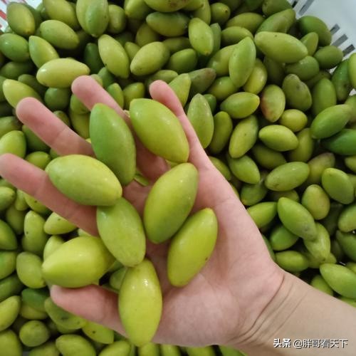 什么食物可以解酒最快,醉酒后吃什么食物最解酒