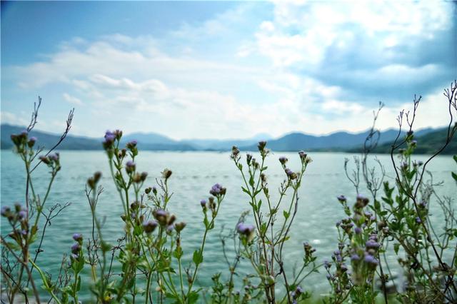 隐藏在尤溪的这个小圆球，是福建省地理的中心点，你来过吗？