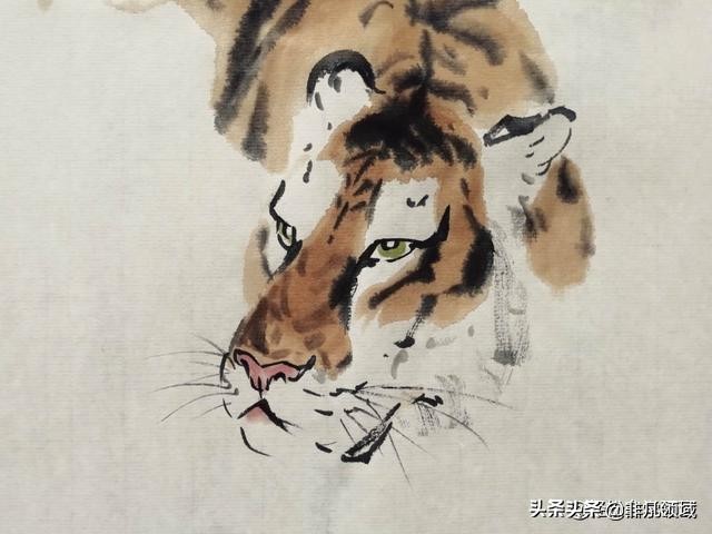国画老虎画法步骤图,国画老虎画法步骤图解