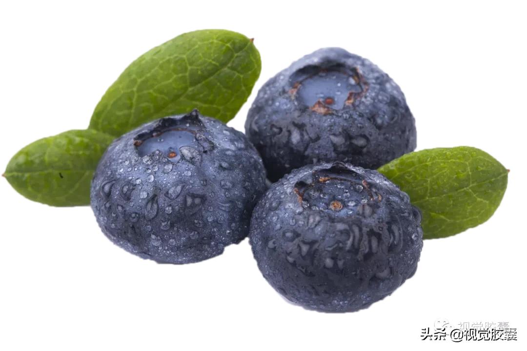 乡村蔬菜大棚的设计,蔬菜精美设计图片