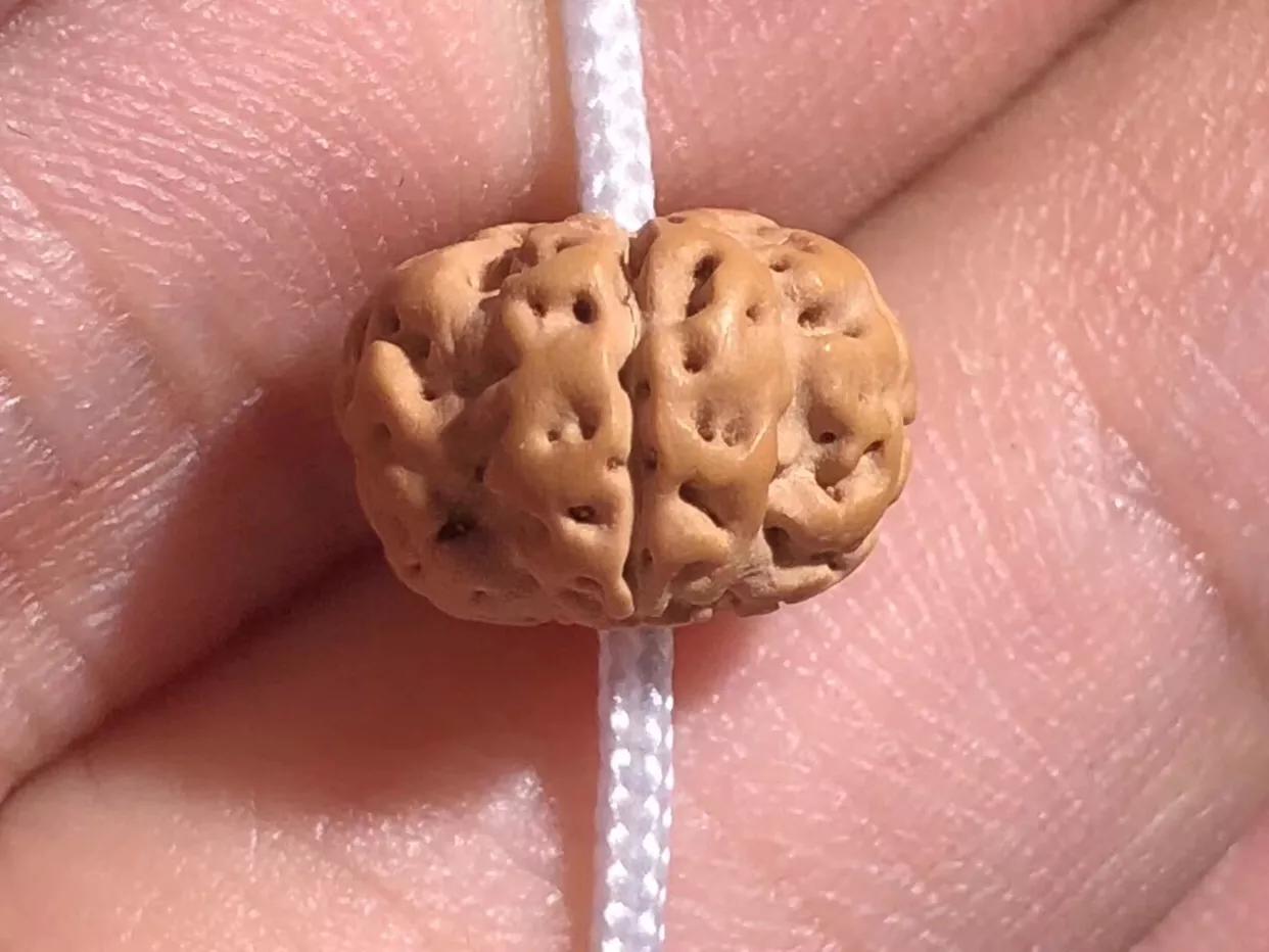 小心驶得万年船翻译成英文,金刚菩提有什么套路