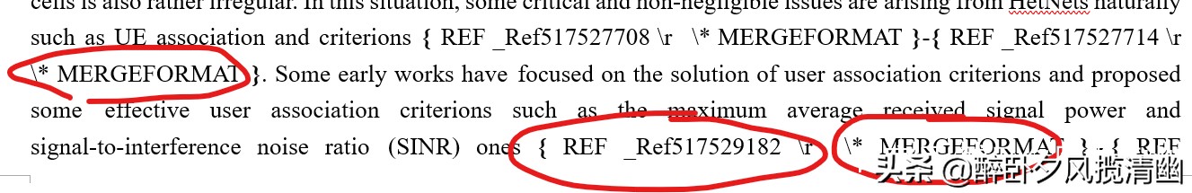 endnote引用文献是乱码怎么办,交叉引用文献wps和word乱码