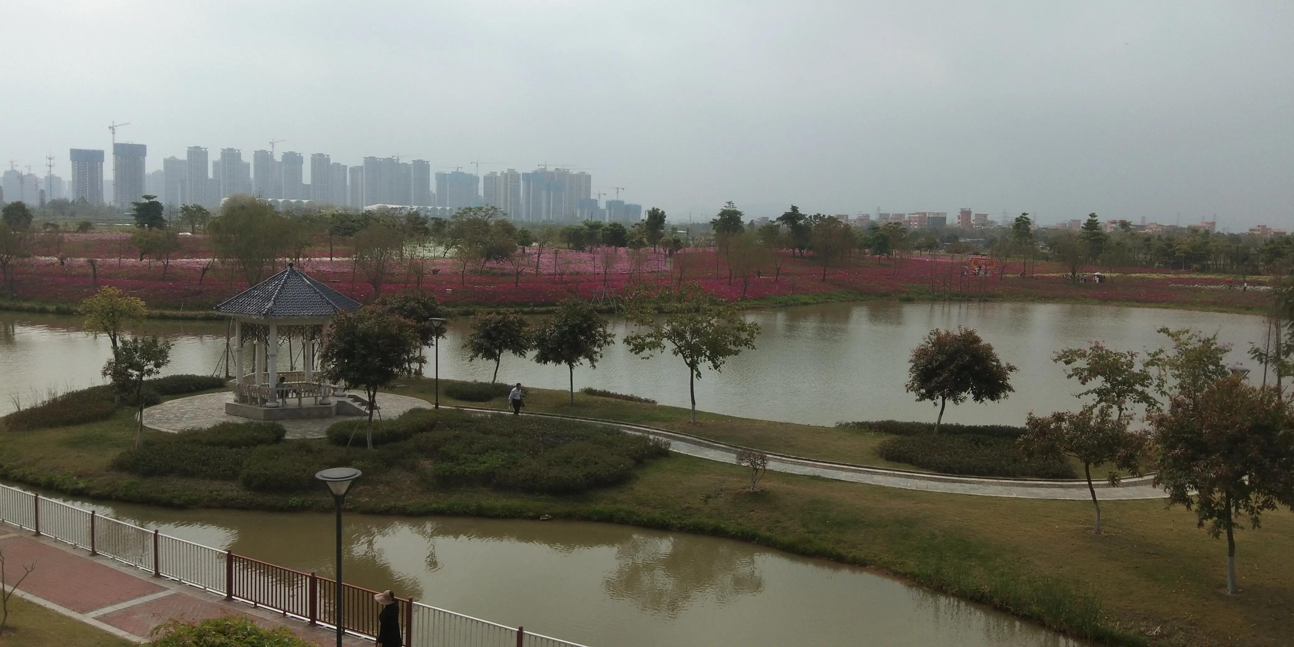 佛山高明怎样,佛山高明区很差吗