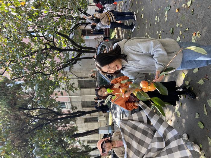 西安一高校举办摘柿子大赛,西工大举办摘柿子大赛