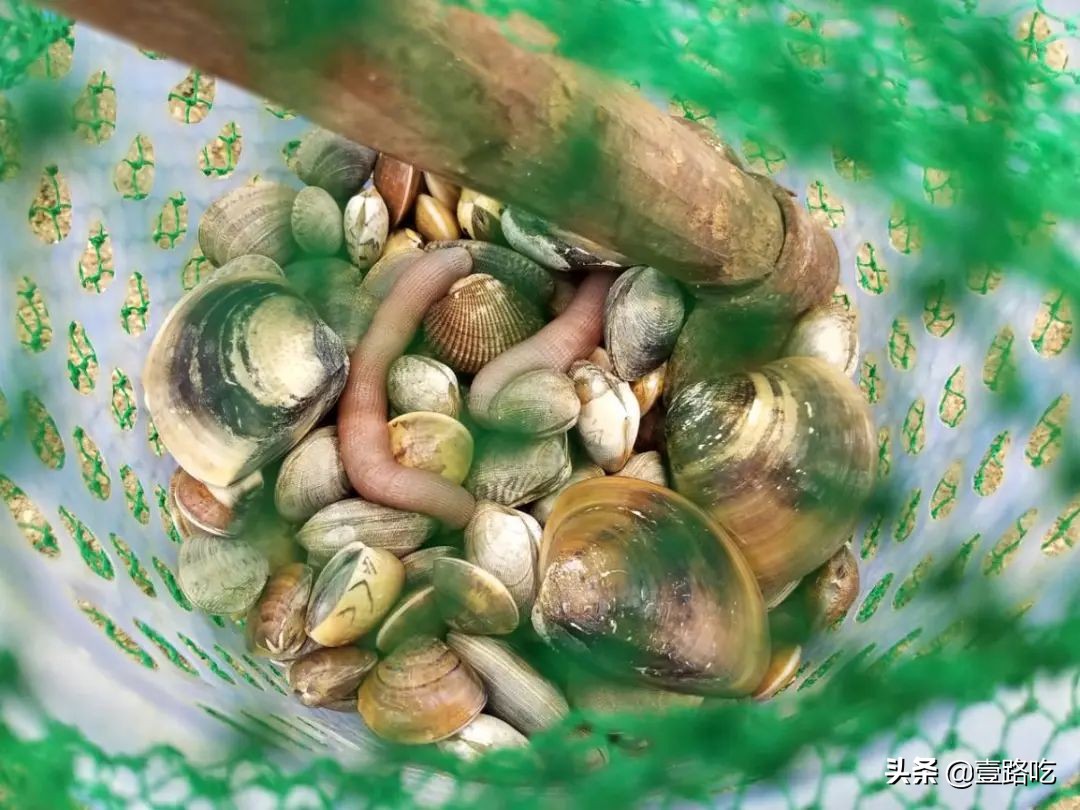 每天都有你想吃的海鲜美食,海鲜美食等你来品尝