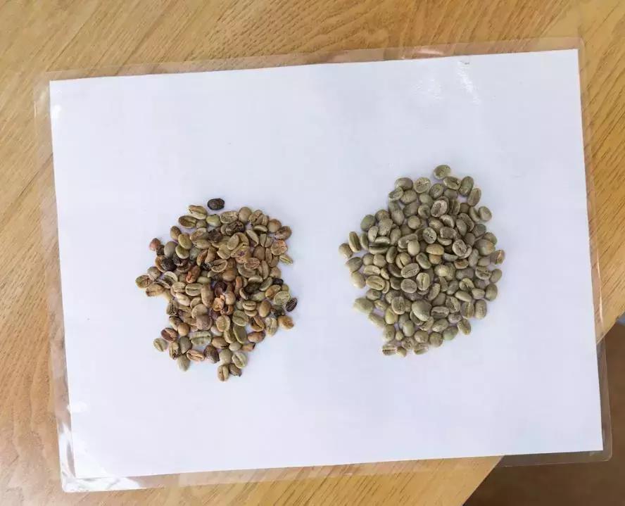 twoshot是什么咖啡,two到底是什么