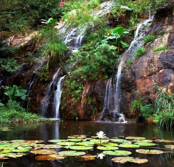青青世界深圳好玩吗,深圳青青世界要门票吗
