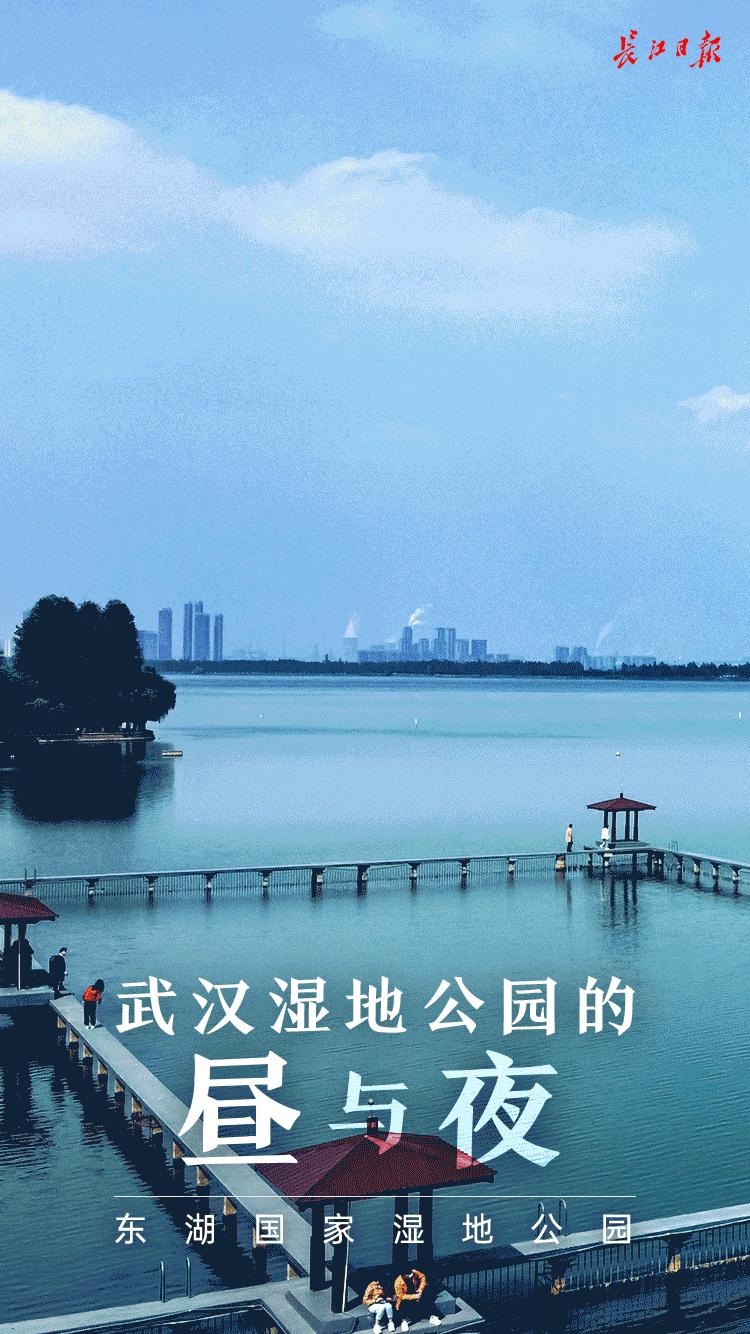 武汉江夏藏龙岛湿地公园美景图,武汉藏龙湿地公园