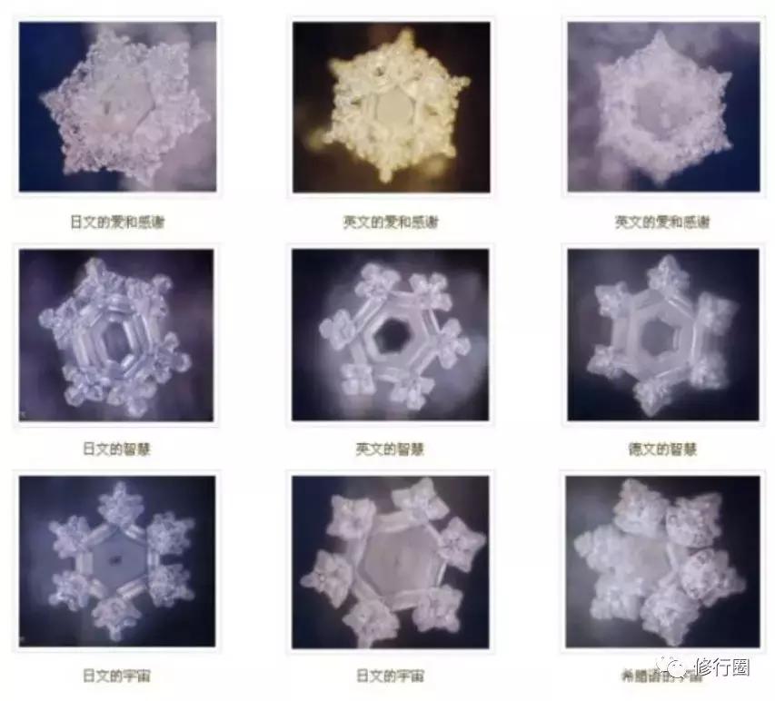 音乐振动频率排行榜,音乐振动能量频率