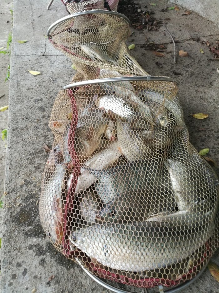 小学生眼中的人,小学生眼中的英雄人物