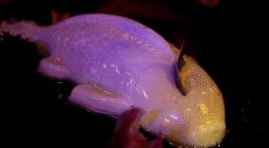 天津南开好吃的烤肉,天津美食排行第一的日式烤肉