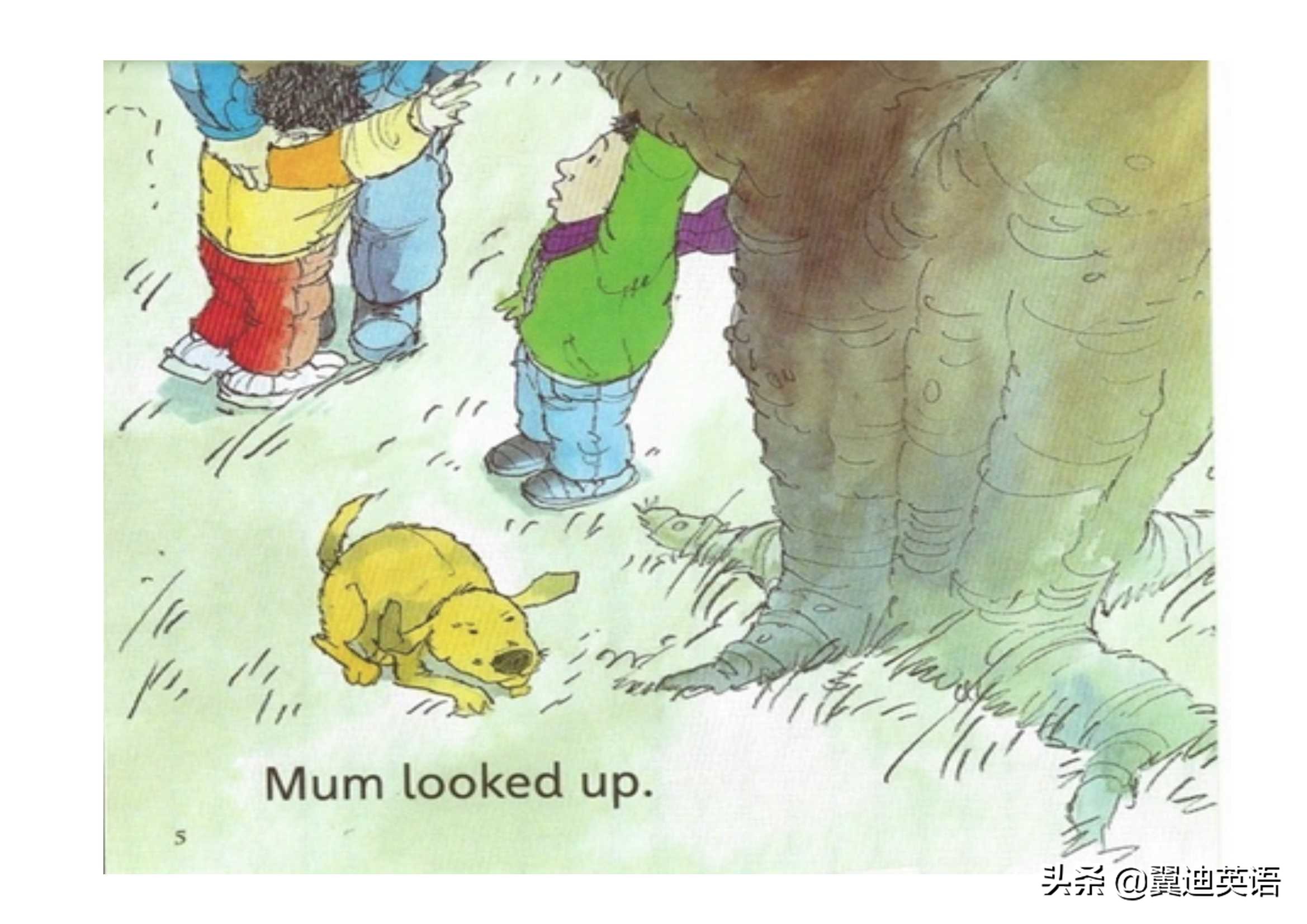 有声两岁宝宝绘本,英文有声绘本两岁