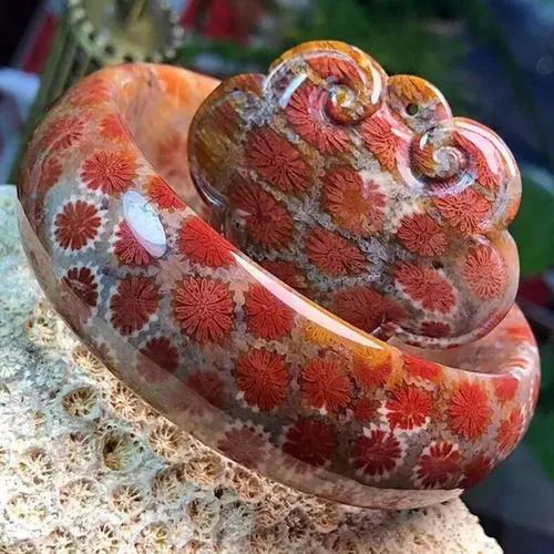 珊瑚玉的特色有哪些,珊瑚玉作用及怎么保养