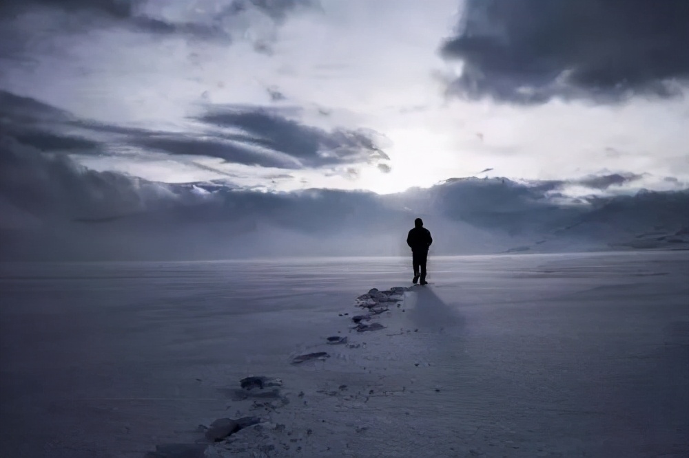 知乎115万热度:没学历,啥也不会,不进厂上班还能干什么?