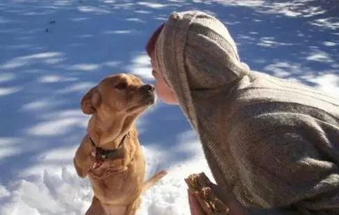 疫情中的替代性创伤,疫情替代性创伤