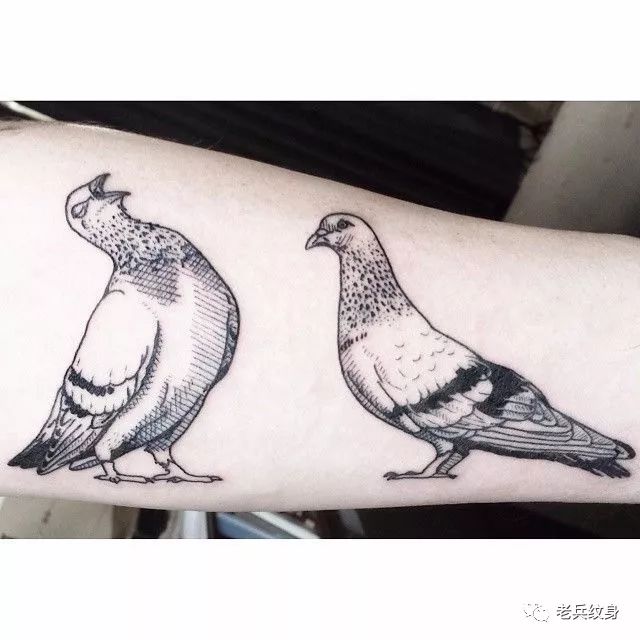 纹身各种图案的寓意,女人纹身纹什么寓意好图片