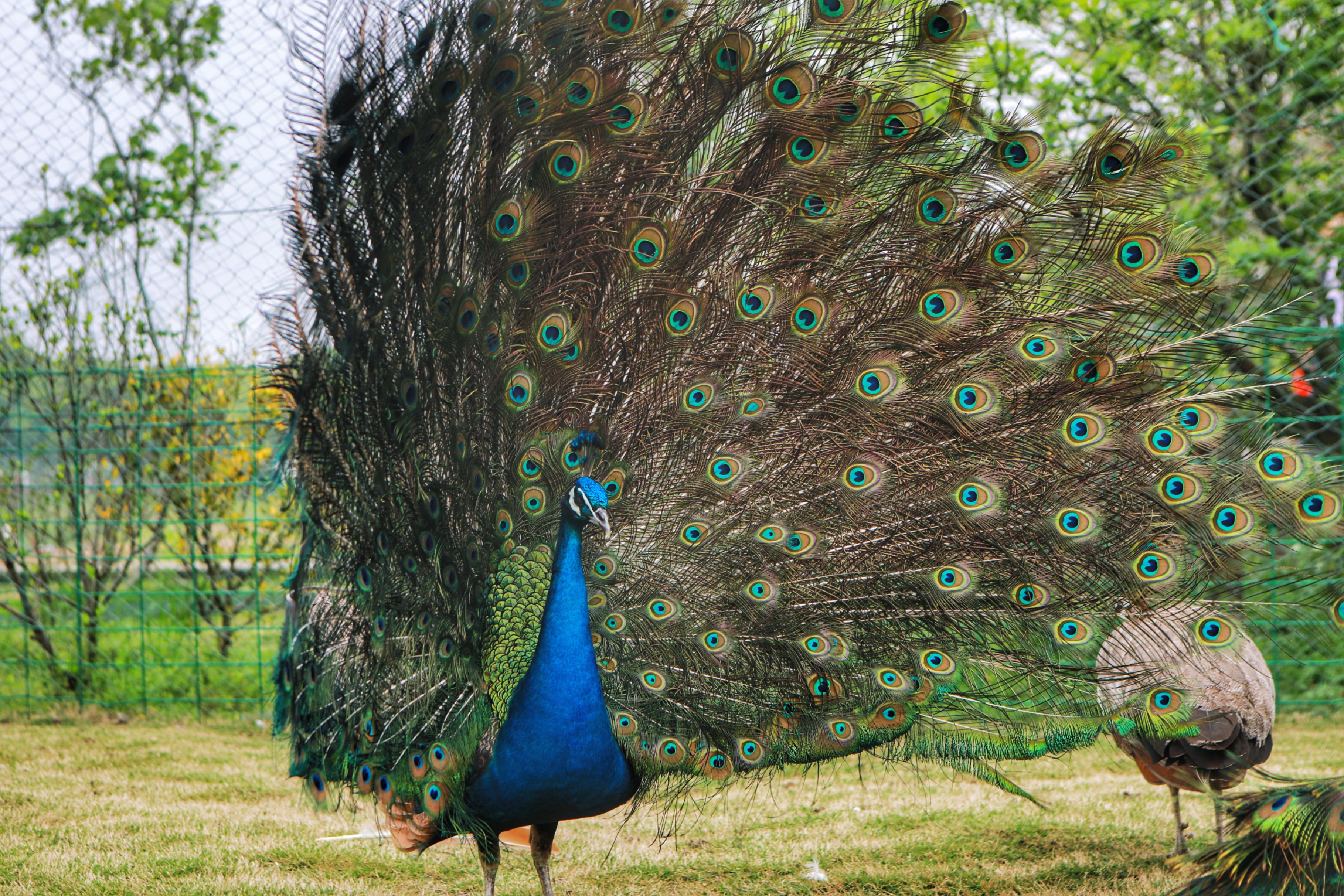 长三角湾区,有个深藏闺中的苏州太湖新城,被看作是未来之城