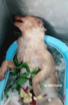 一见钟情只是在人群里多看你一眼,一见钟情就是在人群中多看了你