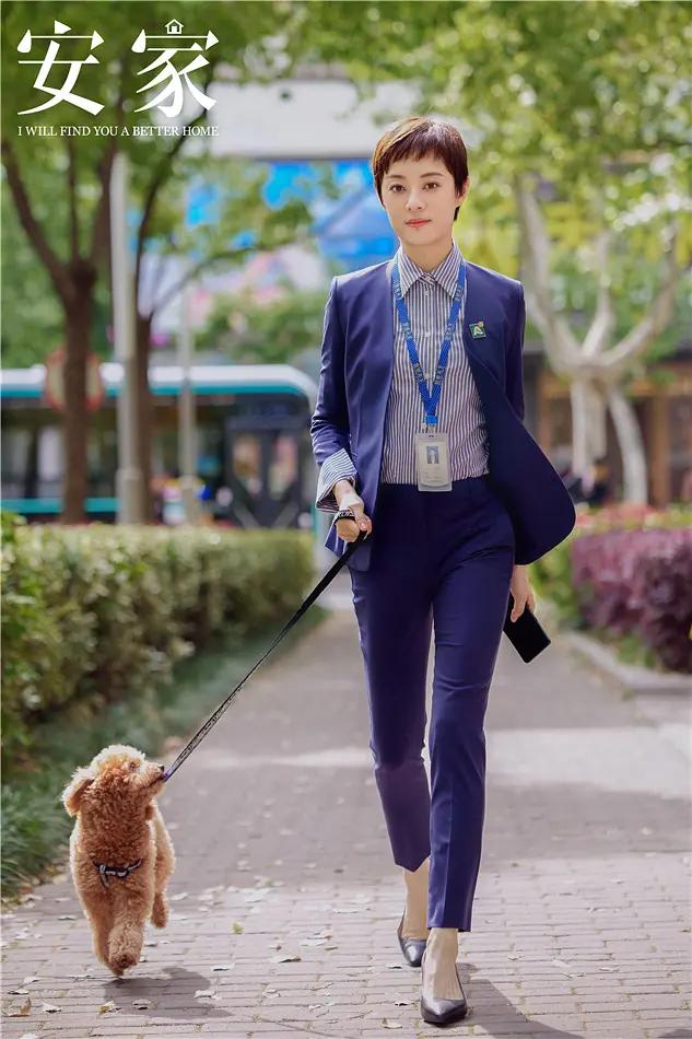 安家收视率全年最高,安家收视率