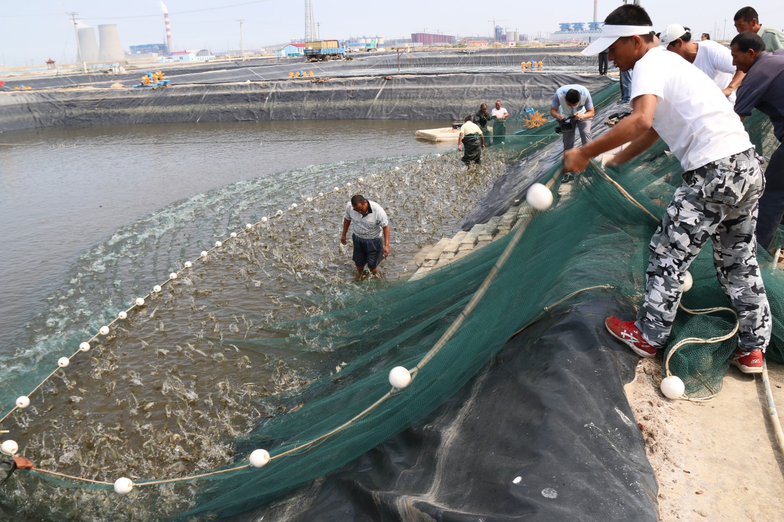 西海岸海洋经济发展,山东省海洋经济高质量发展