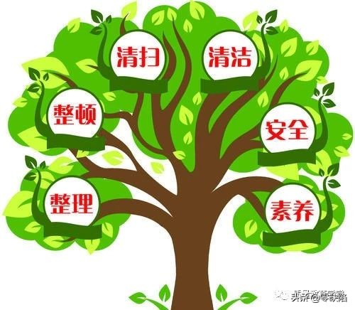 实用6s管理经验条条经典纯干货,实验室6s管理大全附25条实施细则