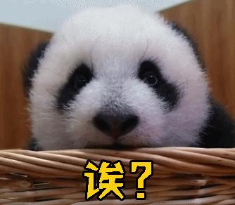 为什么不熬夜眼袋和黑眼圈也很重,长期黑眼圈不熬夜也不恢复怎么办