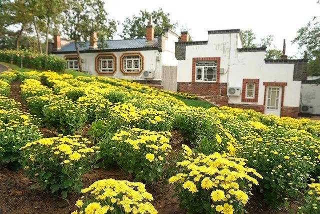 大连重阳节旅游攻略,大连九月秋游攻略