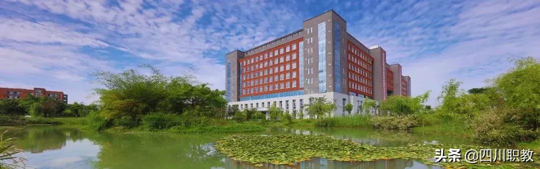 中国最强的高职院校,四川最好的职业技术大学有哪些