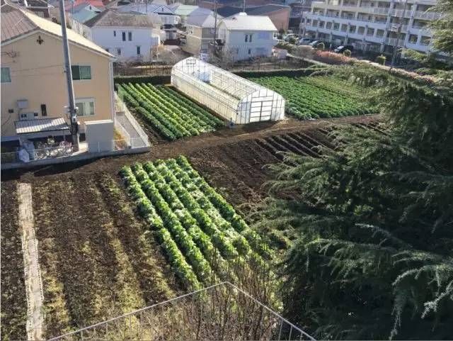 精诚实验幼儿园,精诚实验学校幼儿园