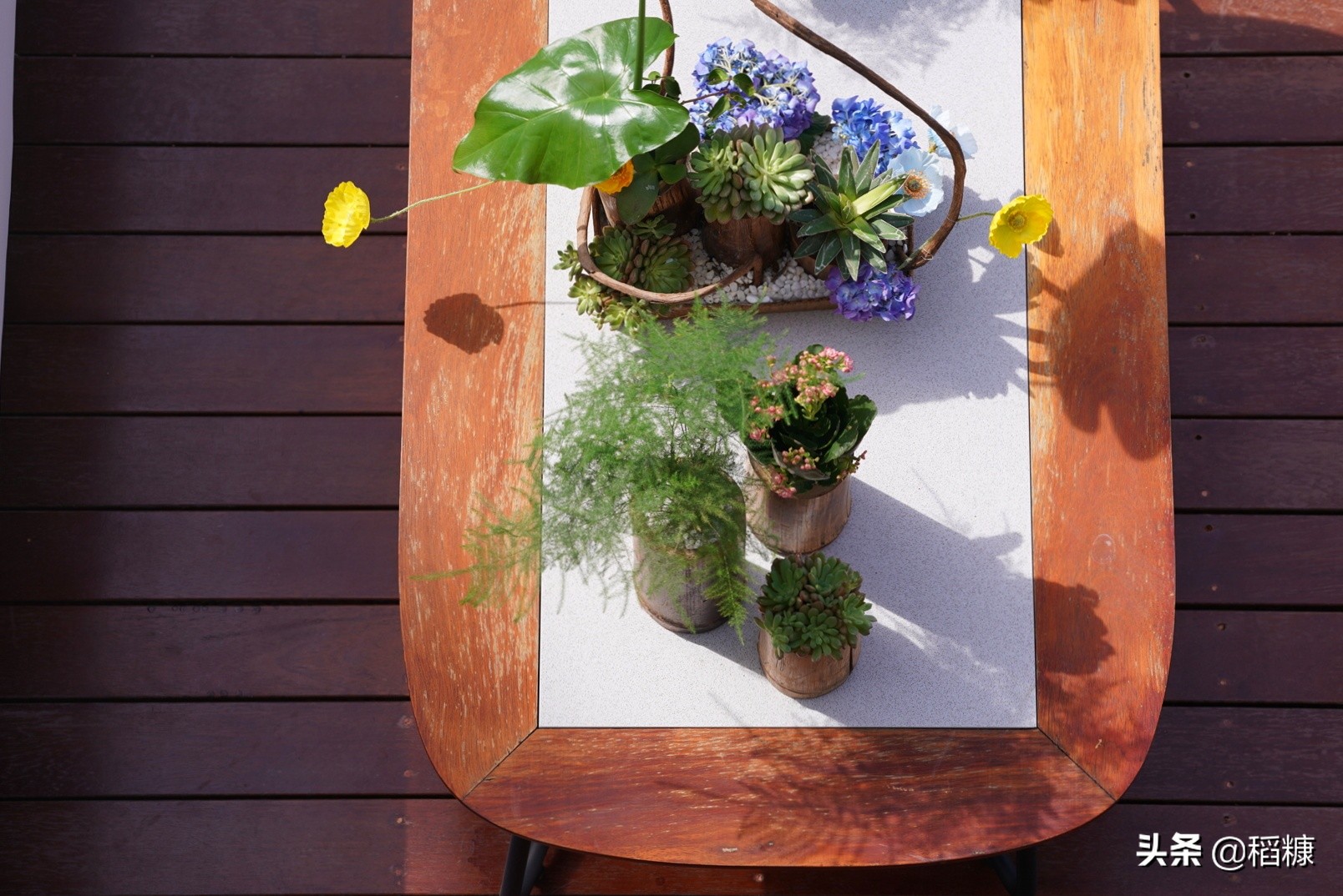 亚龙湾远洋别墅区,亚龙湾附近带泳池的别墅