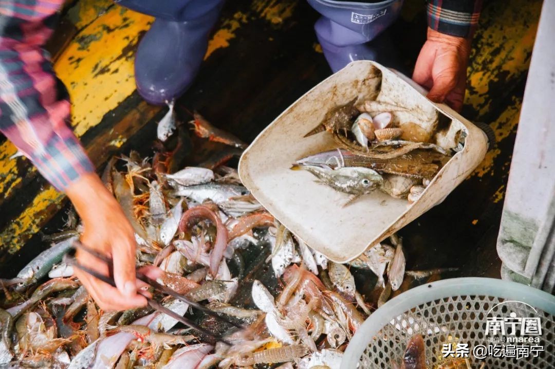 防城港旅游海鲜推荐,最好的海边旅游攻略