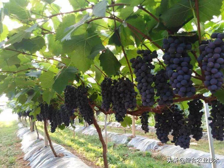 建水上亿富豪,身价上亿的电商老板