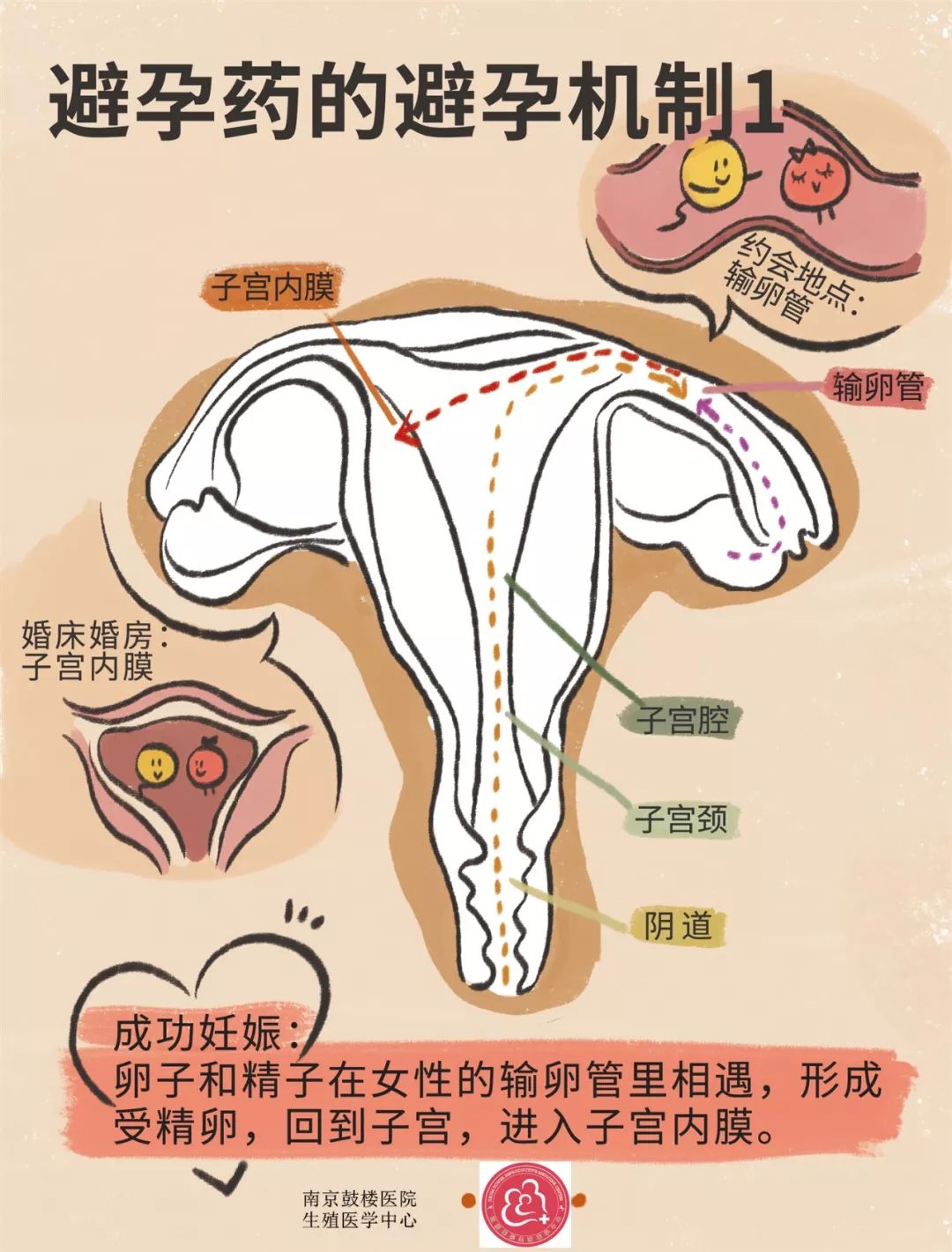 南京鼓楼生殖中心促排卵,南京鼓楼生殖医学中心怎么样