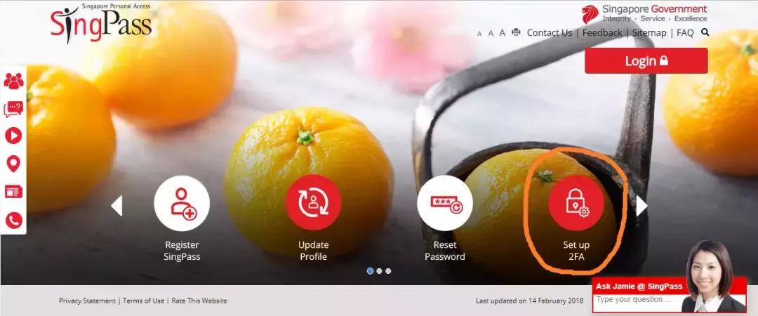 新加坡个人所得税网上缴费,新加坡个人所得税