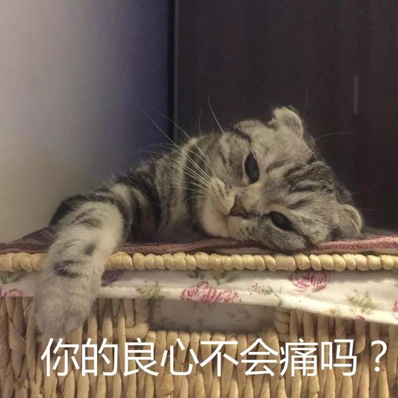 我朋友借网贷留了我的电话怎么办,欠网贷总是有人打电话发信息威胁