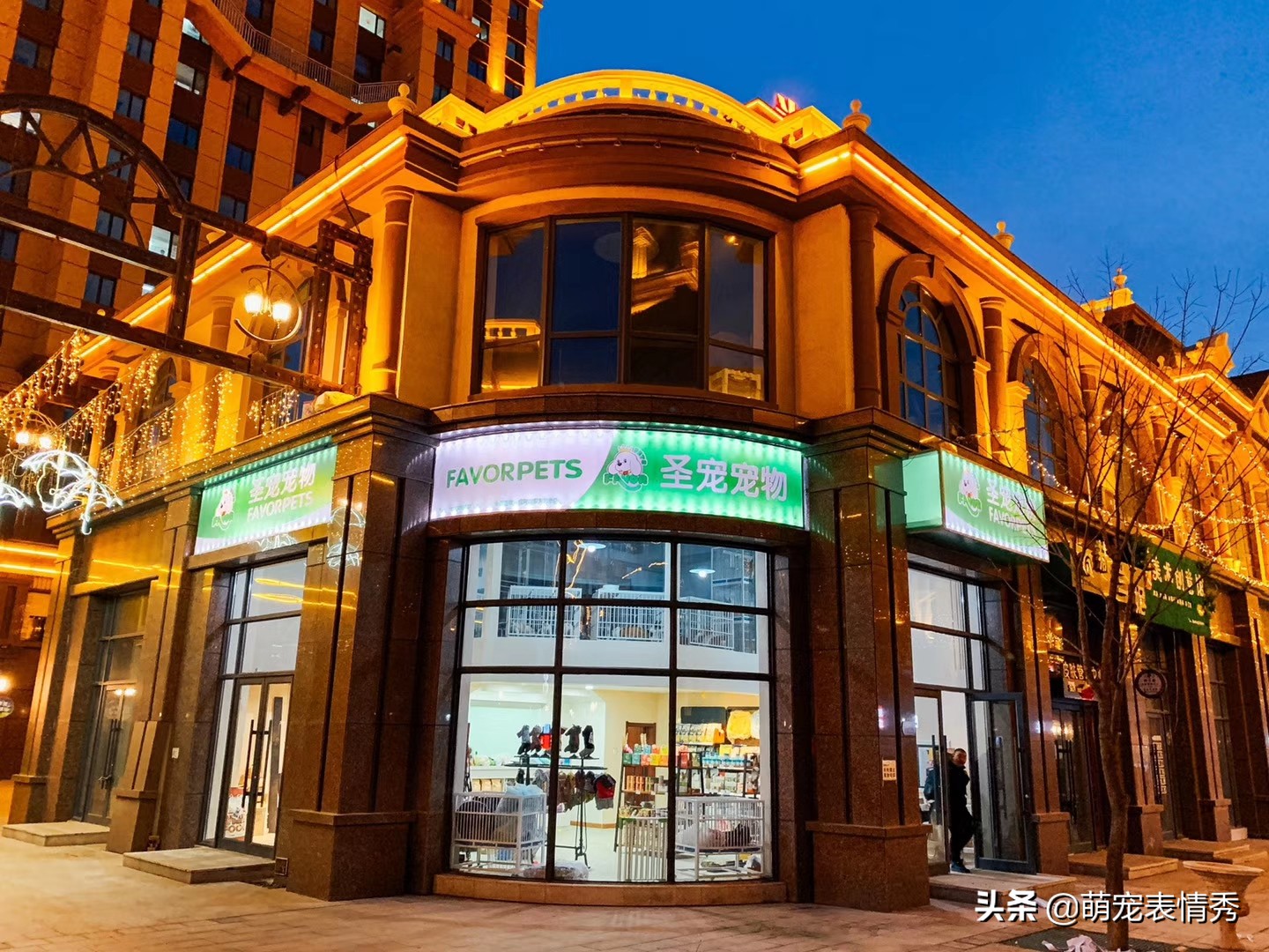 开宠物店的利润和风险,开宠物店需要什么手续和证件