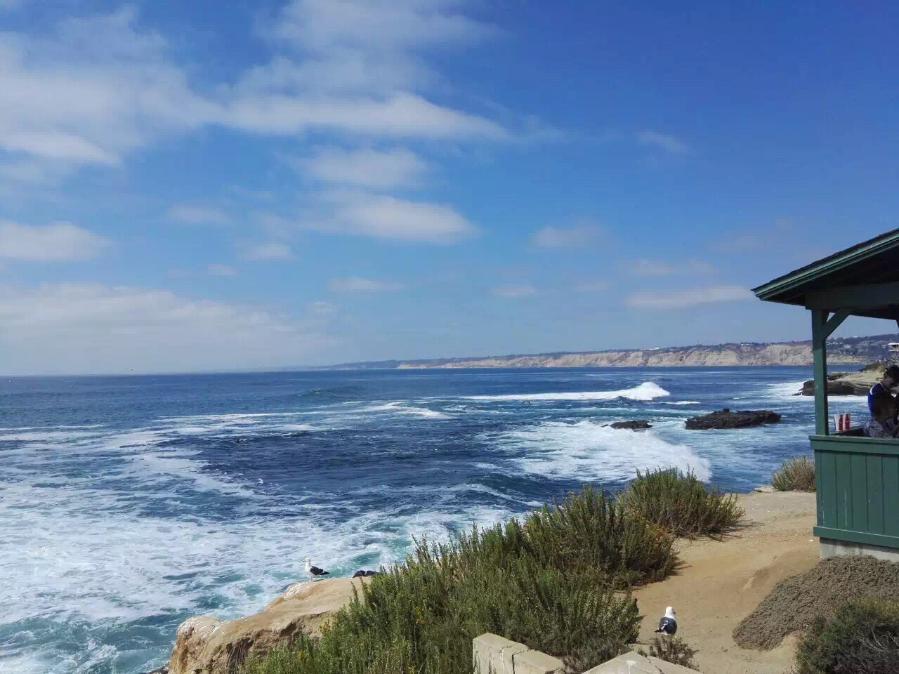 年薪5万美金的工作,年薪5万美金工作