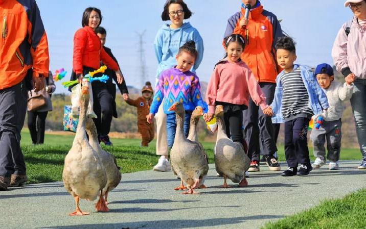 超长记录亲子牧场一日游,暑期草原亲子游攻略