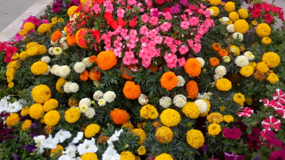 常见的图像处理方法有几种,简单的图像处理知识