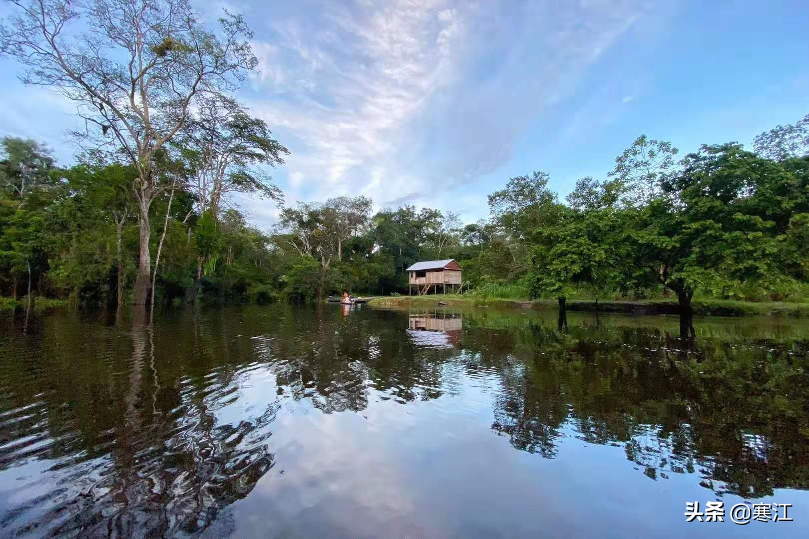 亚马逊热带雨林食人花奇妙之旅,去亚马逊热带雨林探险
