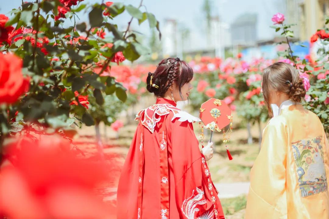 又刷屏了！高新这片花海，惊艳你的朋友圈！