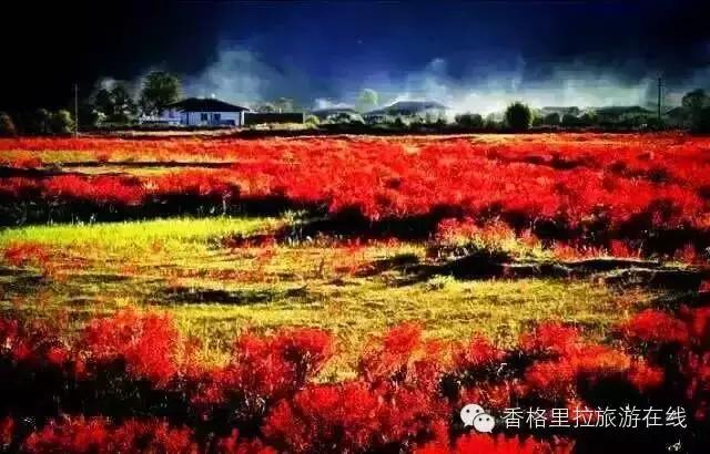 丽江去香格里拉路途中有什么景点,丽江到香格里拉走214国道打卡景点