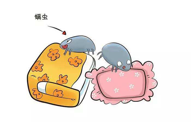 被子螨虫多身上痒怎么办,被子螨虫用什么洗最好